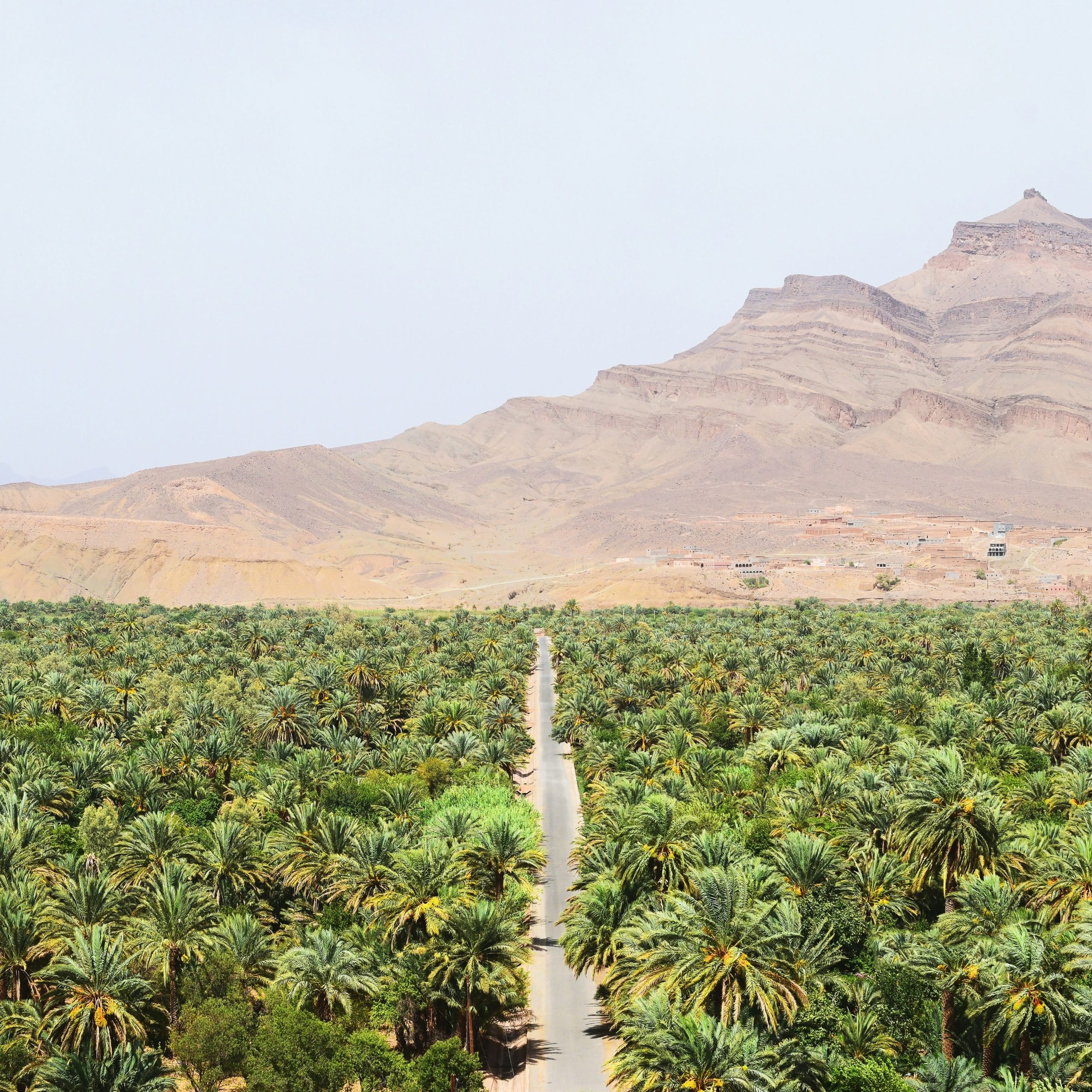 Zagora & la Vallée du Drâa