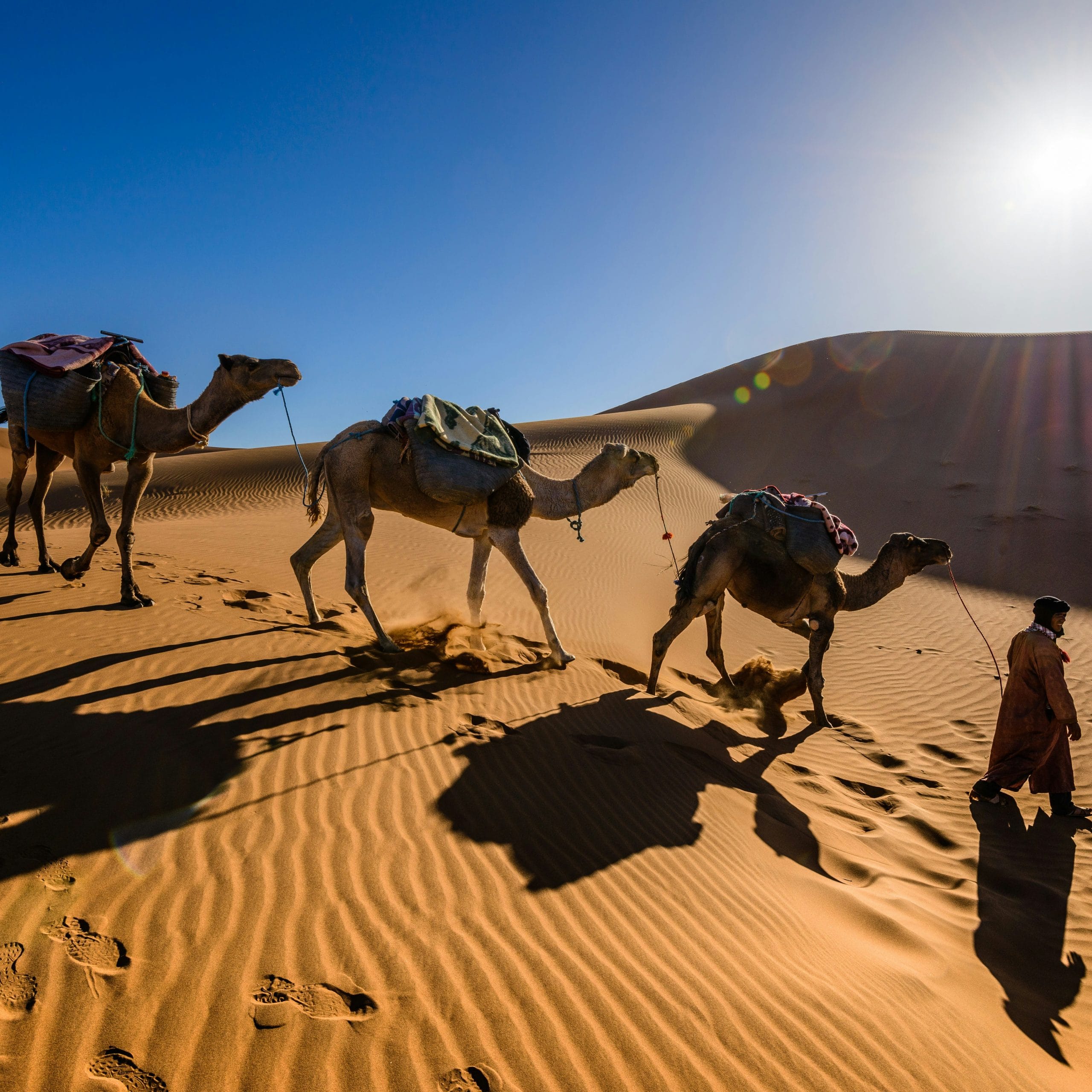 Désert de Merzouga